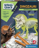 Set - Dinozaurul Triceratops | As