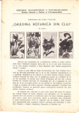 TSV - EMISIUNEA DE MARCI POSTALE, GRADINA BOTANICA DIN CLUJ, 1965 LP 615