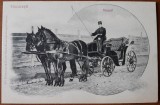 Carte postala, Bucuresti, Muscal, inceput de secol XX