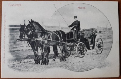 Carte postala, Bucuresti, Muscal, inceput de secol XX foto