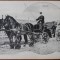 Carte postala, Bucuresti, Muscal, inceput de secol XX