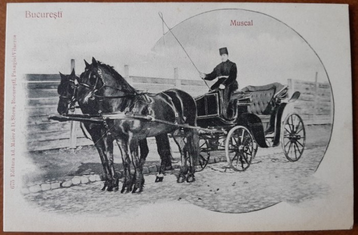 Carte postala, Bucuresti, Muscal, inceput de secol XX