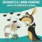 Gramatica limbii romane pentru invatamantul primar &ndash; Adina Dragomirescu