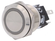 Comutator Anti-Vandalism SPDT 3A 240V 24V