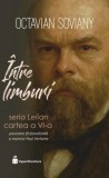 &Icirc;ntre limburi. Seria Lelian Vol.6, Hyperliteratura