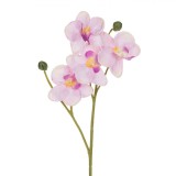 Floare Artificială, Orhidee, Tulpină Scurtă, Culoare Roz, 36 cm, Oem