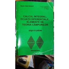 Calcul integral, ecuatii diferentiale, elemente de teoria campurilor - Lucia Dragusin, C. Dragusin, C. Radu