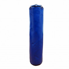 Sac de box juniori EvoGym ART 100&amp;amp;#215;30 cm, albastru foto