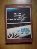 W4 Intr-un camin de domnisoare .Calator prin noaptea de ajun - Anisoara Odeanu