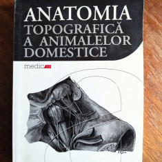 Anatomia topografica a animalelor domestice - Vasile Cotofan / R3P4F