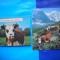 HOPCT LOT NR 1035 VACA / VACI --FAUNA -2 CARTI POSTALE-CIRCULATE