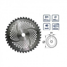 Disc pentru motocoasa Raider TCT, 40 dinti, pastile Vidia, 255 mm