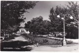 AMS - ILUSTRATA 1244, ALEXANDRIA - VEDERE, ANUL 1960