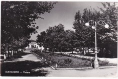 AMS - ILUSTRATA 1244, ALEXANDRIA - VEDERE, ANUL 1960