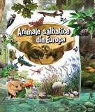 Animale sălbatice din Europa - Paperback brosat - *** - Kreativ