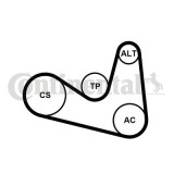 CONTINENTAL CTAM 6PK1180K2 Set curea transmisie cu caneluri