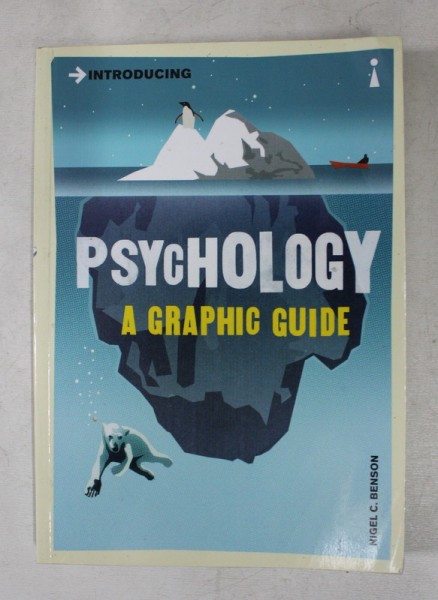 PSYCHOLOGY - A GRAPHIC GUIDE by NIGEL C. BENSON , 2007