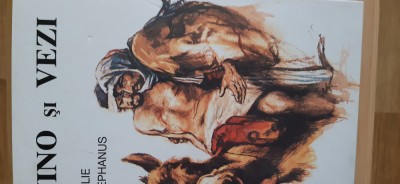 Vino si vezi / Noul testament Biblie Stephanus Evert Kuijt (cartonata/725 pag) foto