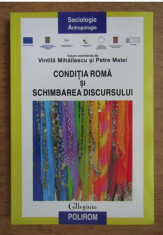 Vintila Mihailescu, Petre Matei - Conditia roma si schimbarea discursului foto