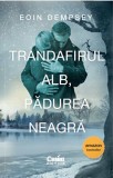 Cumpara ieftin Trandafirul Alb, Padurea Neagra, Eoin Dempsey - Editura Corint