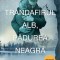 Trandafirul Alb, Padurea Neagra, Eoin Dempsey - Editura Corint