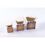 Set 3 recipiente pentru condimente | floare stea