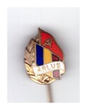 Insigna mica ARLUS