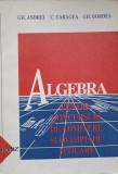 ALGEBRA PENTRU CONCURSURI DE ADMITERE SI OLIMPIADE SCOLARE. CLASA A XI-A-GH ANDREI, C. CARAGEA, GH. BORDEA-338244