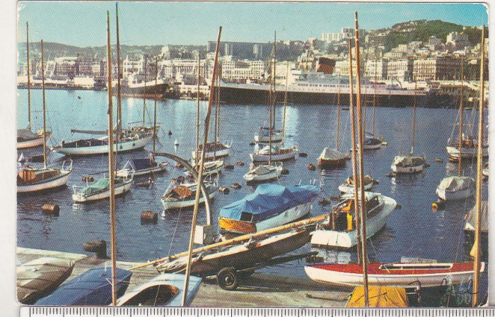 bnk cp Algeria - Alger - Portul si vedere generala - necirculata