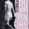 DVD Fotbal: Florea Dumitrache - Colectia Gazetei: Superfotbalisti ( SIGILAT )