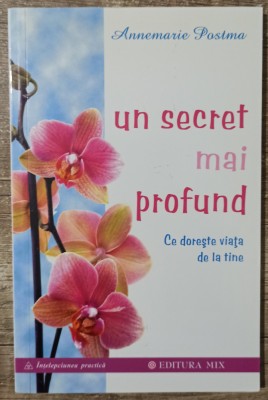 Un secret mai profund - Annemarie Postma foto