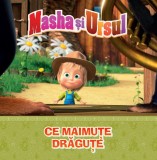 Volumul 18. Masha si Ursul. Ce maimute dragute!