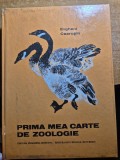 Carte pentru copii - primea mea carte de zoologie - din anul 1980 - coperti cartonate