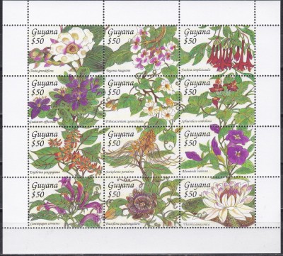 Guyana 1994 - Flori, Bloc, MNH foto