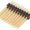 Conector pini 2x10 THT 1,27mm aurit