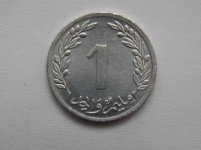 1 MILIM 1960 TUNISIA-AUNC foto
