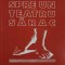 SPRE UN TEATRU SARAC-JERZY GROTOWSKI