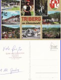 Ilustrata Germania-Kruger- Triberg