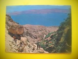 HOPCT 6076 EIN -GEDI-NACHAL DAVID- MAREA MOARTA -ISRAEL-ASIA -NECIRCULATA
