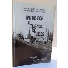 INTRE FOR SI TURNUL DE FILDES de MARCEL CRIHANA , 1998