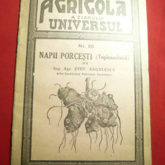 St.Angelescu - Napii Porcesti -Ed.1945 Universul -Colectia Bibl.Agricola nr.80