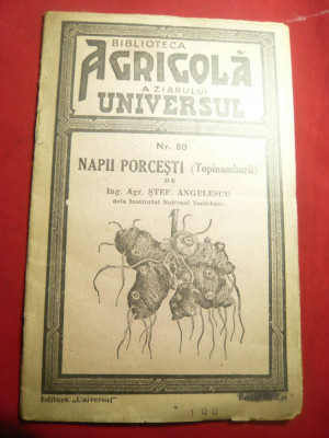 St.Angelescu - Napii Porcesti -Ed.1945 Universul -Colectia Bibl.Agricola nr.80 foto