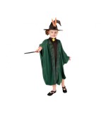 Costum carnaval Vrajitoare Verde pentru copii 130/140 cm (9-10 ani)