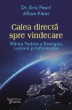 Calea directa spre vindecare. Sfanta Treime a energiei, luminii si informatiei/Eric Pearl, Jillian Fleer