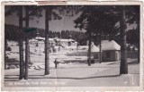 Stana de Vale 1120 m. Iarna (circulata 1937)