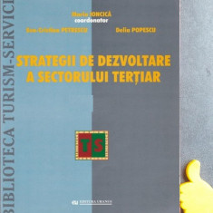 Strategii de dezvoltare a sectorului tertiar Maria Ioncica Delia Popescu
