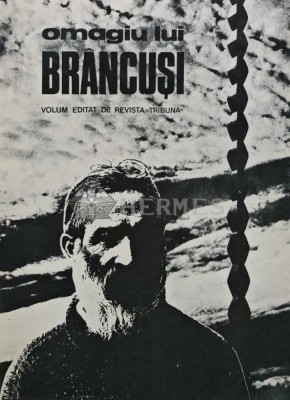 Omagiu lui Brancusi - 1976 - Dumitru Radu Popescu (Y370) foto
