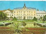 Carte postala-SATU MARE -Hotel Dacia, Circulata, Fotografie