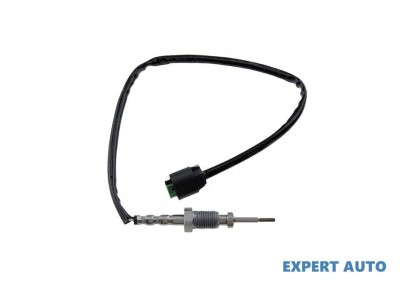 Senzor temperatura gaze dpf BMW Seria 7 (2001-2008) [E65, E66, E67] #1 foto