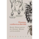 A kozmosz, a szellem &eacute;s az &aacute;llati l&eacute;lek - Ren&eacute; Descartes &eacute;s Henry More levelez&eacute;se - Ren&eacute; Descartes